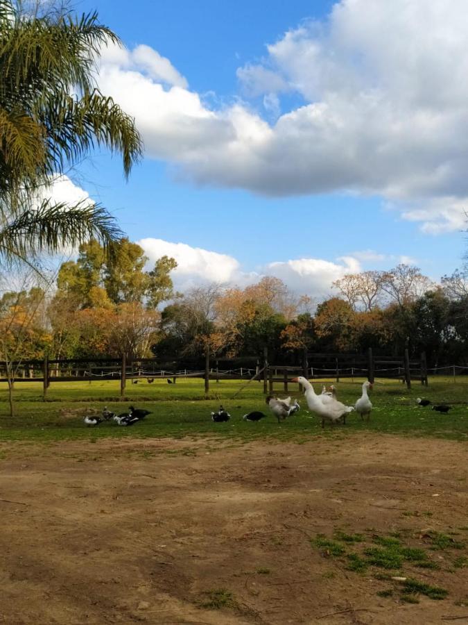 Finca La Pasionaria - Conectandonos Villa Belén de Escobar Kültér fotó