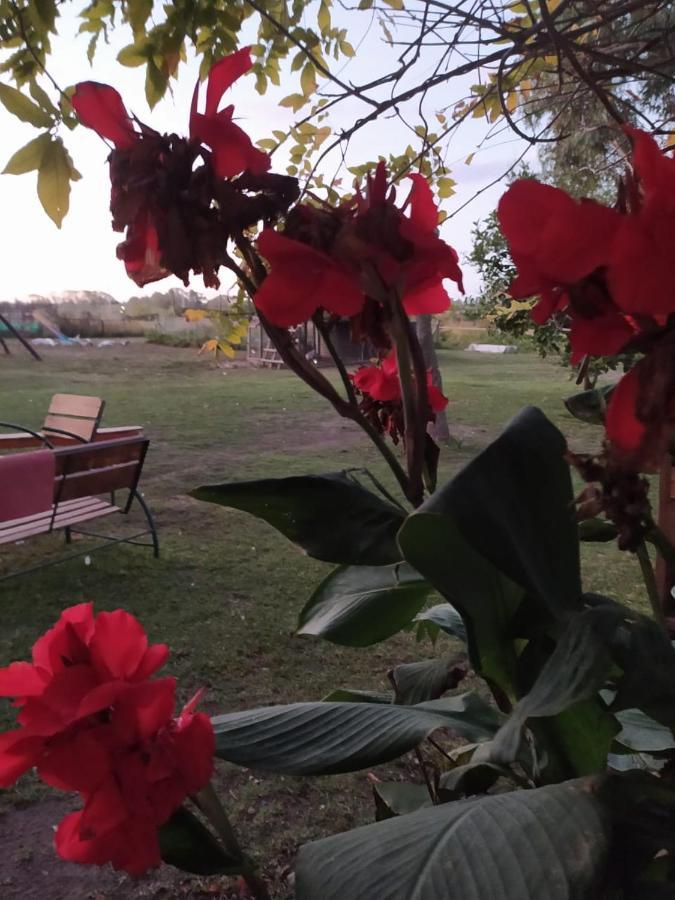 Finca La Pasionaria - Conectandonos Villa Belén de Escobar Kültér fotó