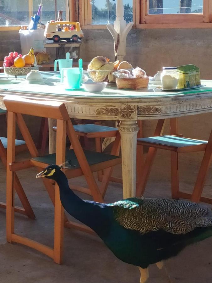 Finca La Pasionaria - Conectandonos Villa Belén de Escobar Kültér fotó