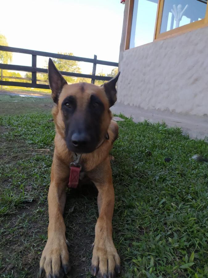 Finca La Pasionaria - Conectandonos Villa Belén de Escobar Kültér fotó